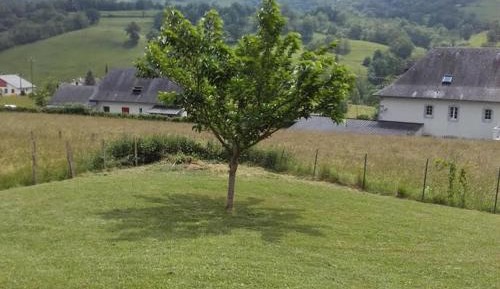 Cottage (4 Adults)