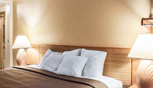 King Room -Non Smoking/Pet Friendly