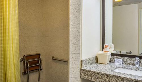 Queen Room with Roll-In Shower - Accessible/Non-Smoking
