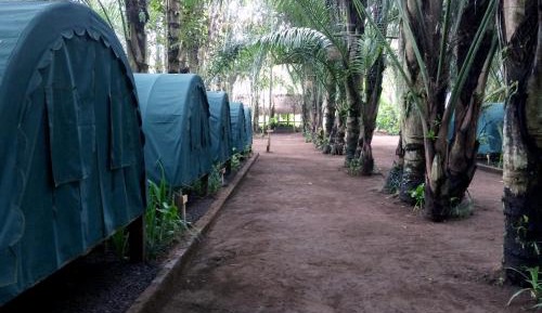 Tent