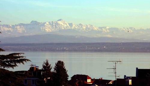 Apartment with Lake View