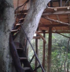 Treehouse