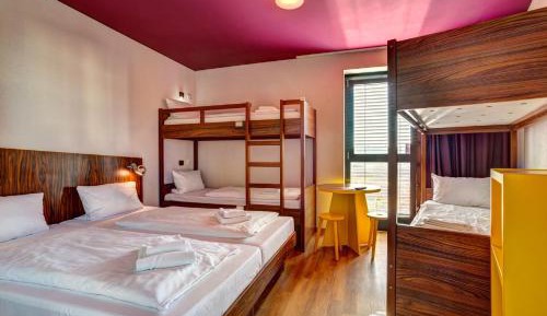 Bed in 6-Bed Mixed Dormitory Room