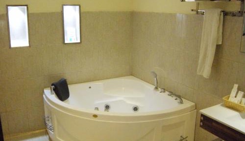 Deluxe Double or Twin Room with Garden View