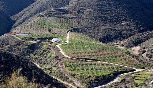 Three-Bedroom Chalet