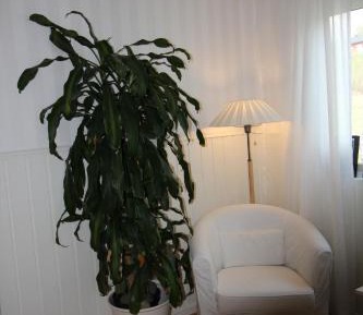 Apartment - Split Level