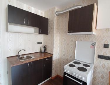 Studio with Kitchen and Garden View