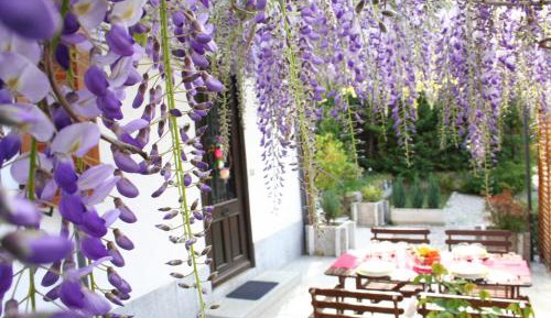 One-Bedroom Apartment with Patio