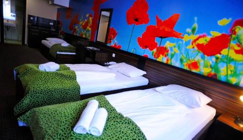Superior Double or Twin Room