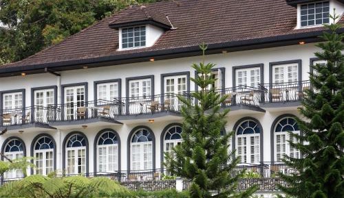 Deluxe Room - Christmas Tree Lighting Package