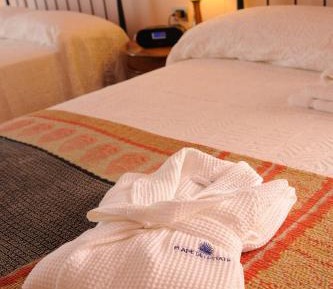 Twin Room with Terrace