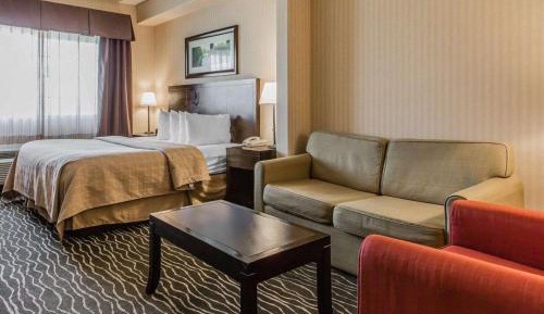 Suite, 1 King Bed with Sofa Bed, Non Smoking