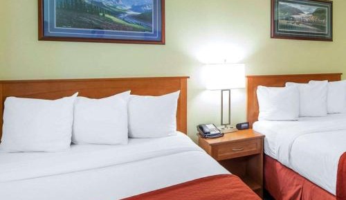 Standard Double Room with 2 Double Beds - Non-Smoking