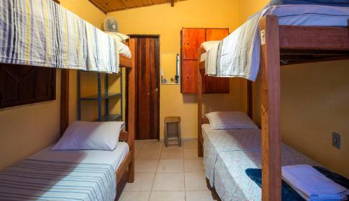Bunk Bed in Mixed Dormitory Room