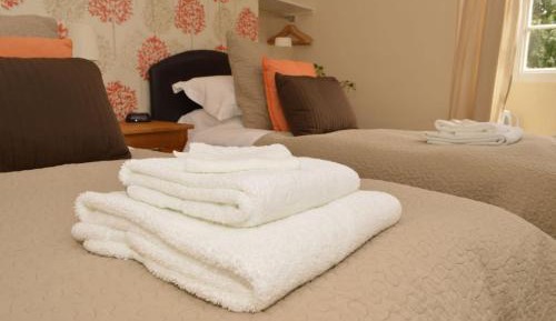 Double or Twin Room with Shower