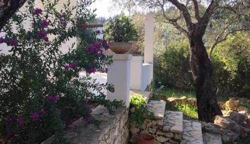Two-Bedroom House with Garden View
