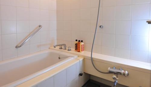 Superior Room with Tatami Area