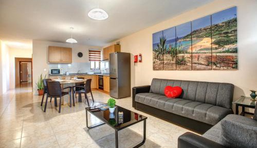 Penthouse Apartment