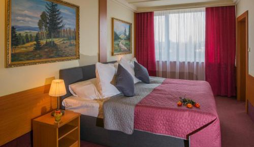 Business Suite with Free Parking and Wellness