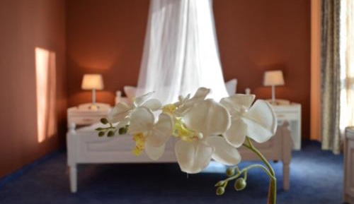 Junior Suite (3 Adults)