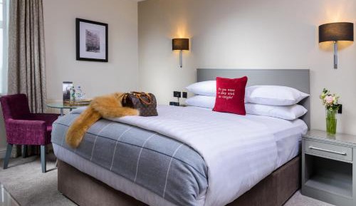 Executive Double Room