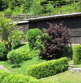 Superior Twin Room with Garden View