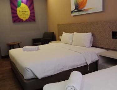 Premium 3 Suite