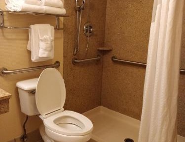King Room with Mobility Accessible Trans Shower