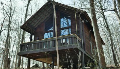 Family Cabin Suite
