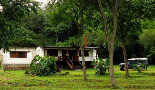 Deluxe Bungalow