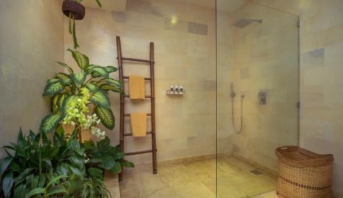 Superior Suite with Terrace