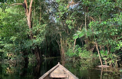 Puerto Narino Cabin | Satori Amazonas ecolodge