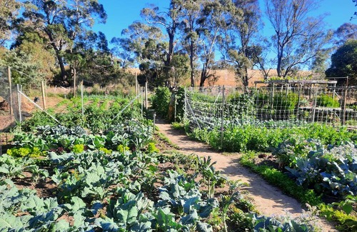 Metcalfe House | Unwind in a cosy bungalow in the midst of our organic permaculture mini-farm.