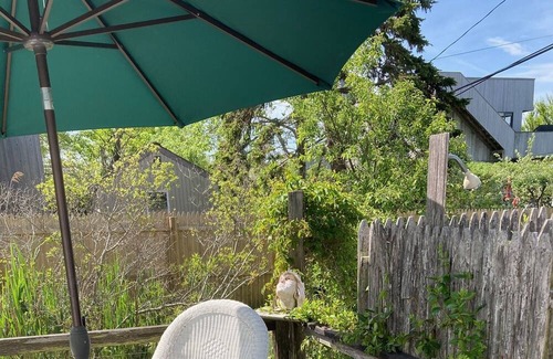 Fair Harbor Cottage | Original 2-bedroom cottage in lovely Fair Harbor with WiFi