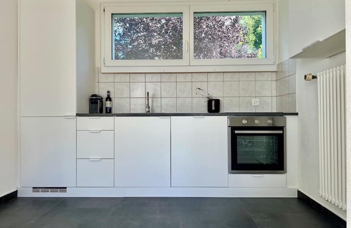 Uetliberg House | Atrium-Haus 15 minutes from Zurich, 40 minutes to Luzen 55 minutes to Pilatus