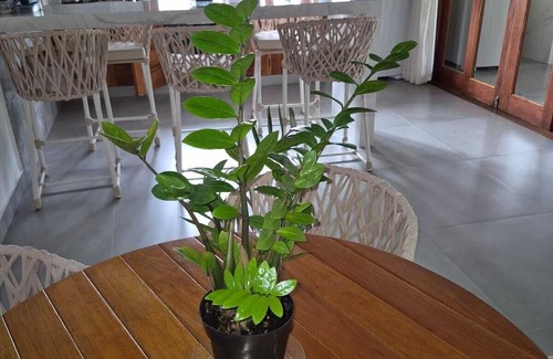 Porto Seguro House | Beach house in Arraial d`juda Bahia, close to the best beaches in the region.