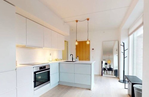 Copenhagen Apartment | Executive Harbour Penthouse