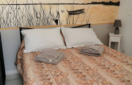 Port-Saint-Louis-du-Rhone Bed & Breakfast | Bed and Breakfast 'Salamandre Chambre D'hote' with Shared Pool, Wi-Fi and Air Conditioning