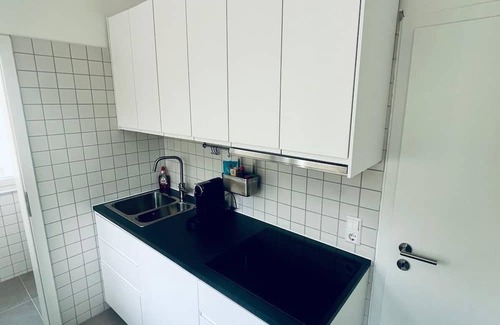 Cannstatt-Mitte Apartment | Monteuerwohnung 5 beds kitchen washing machine