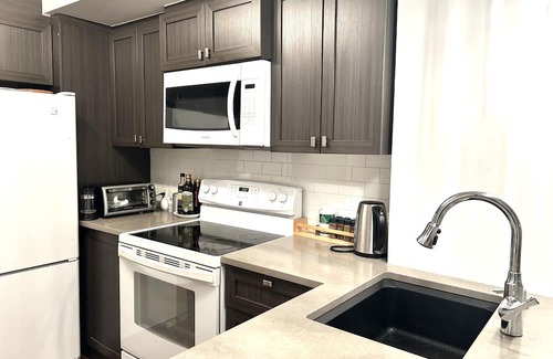 Viauville Condo | Condo Olympique MTL/Sunny condo near the Olympic stadium!