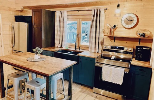 Fraser Valley Regional District Cabin | Peaceful cabin in the mountains with pond view. Pet friendly!