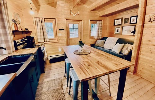 Fraser Valley Regional District Cabin | Peaceful cabin in the mountains with pond view. Pet friendly!