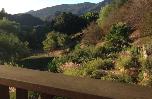 Topanga Apartment | Charming rustic studio in Topanga nestled in nature, private entrance, dogs OK