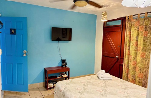 Esperanza Resort | Bananas Vieques Guesthouse Room 5/Vibrant Area/Private/Steps from Caribbean