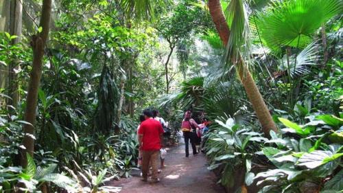 Madikeri House | Coffee Bloom Farm House