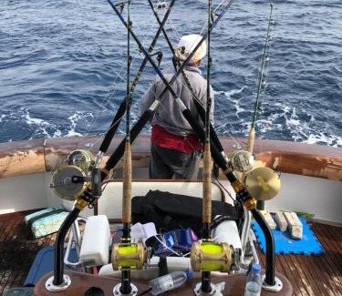 Durrat Al-Arous Boat Rental | Sharmaui