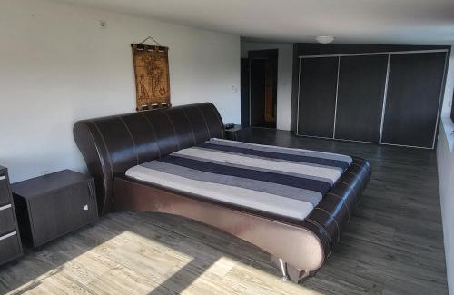 Debrecen Villa | Popeye House