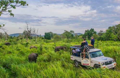 Habarana Hotel | Habarana edge eco hotel
