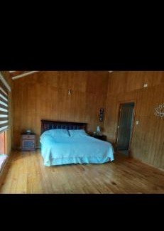 Valdivia House | Casa familiar. Bosque de valdivia