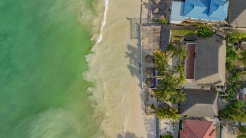Jambiani Hotel | HA Beach Hotel Zanzibar